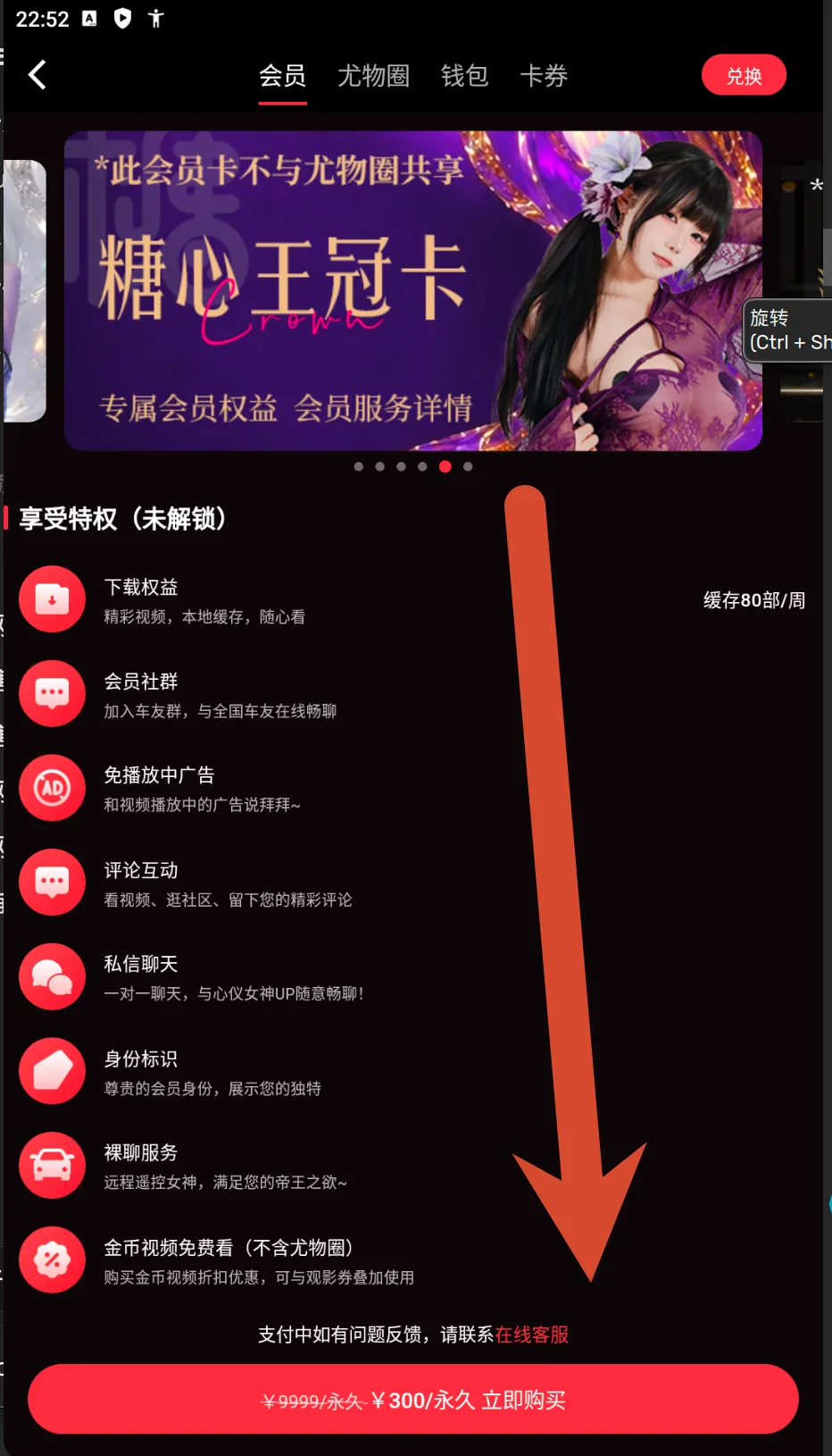 糖心Vlog皇冠会员卡价格截图